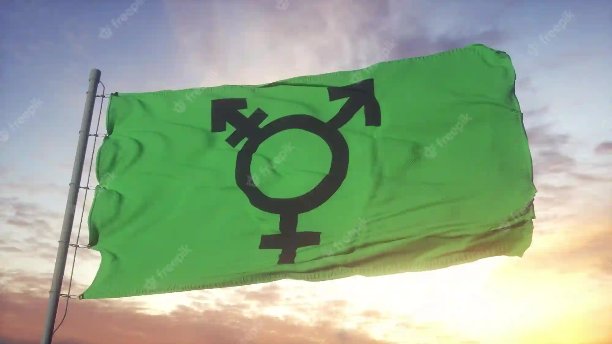 bandeira trans