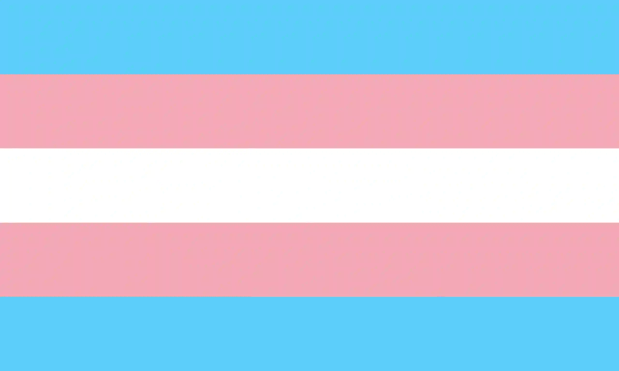 Bandeira Transexual