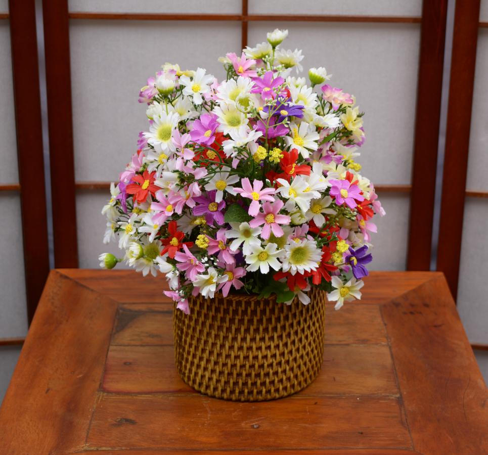 campo significado cocogarage.jp