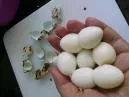 5 dicas de como descascar ovo de codorna 