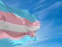 Bandeira Trans: significado, cores e história
