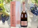 Descubra a Elegância Efervescente do Champagne Rosé: Uma Experiência de Sofisticação e Sabor