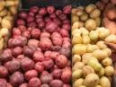 Explorando a Diversidade de Batatas: Conheça os Tipos e Variedades Mais Comuns